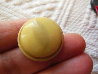 Bouton ancien en celluloïd beige crème collection pied metal 2,6 cm G15R