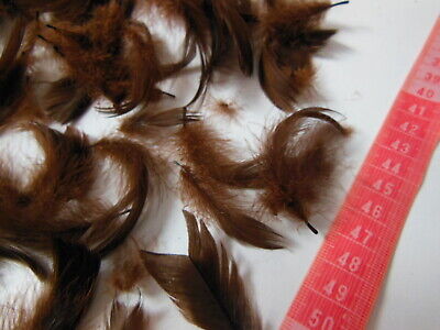 Gros lot de plumes vintage marrons chapeau modiste N°13 B7