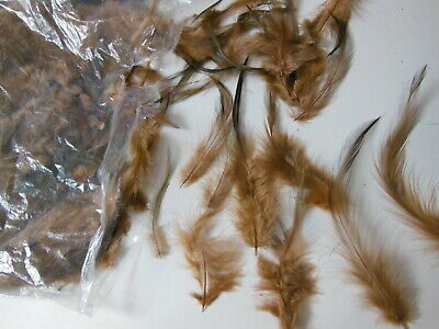 Gros lot de plumes vintage marrons noires chapeau modiste N°8 B7