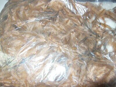 Gros lot de plumes vintage marrons noires chapeau modiste N°8 B7