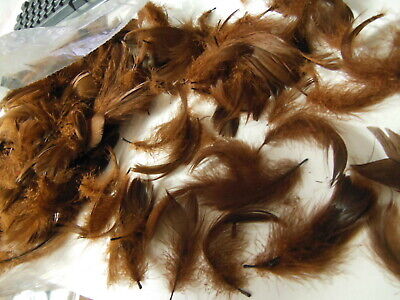 Gros lot de plumes vintage marrons chapeau modiste N°13 B7