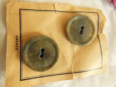 Duo gros gros boutons anciens en corozo sur carte collection 2,6 cm T18