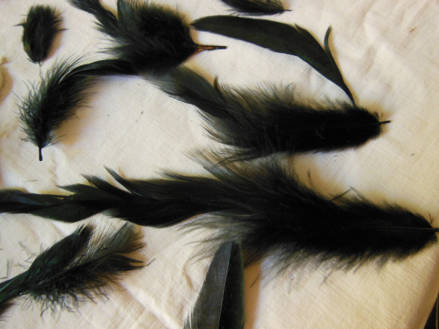 Gros lot de plumes anciennes chapeau modiste noir irisé vert N°3 B7