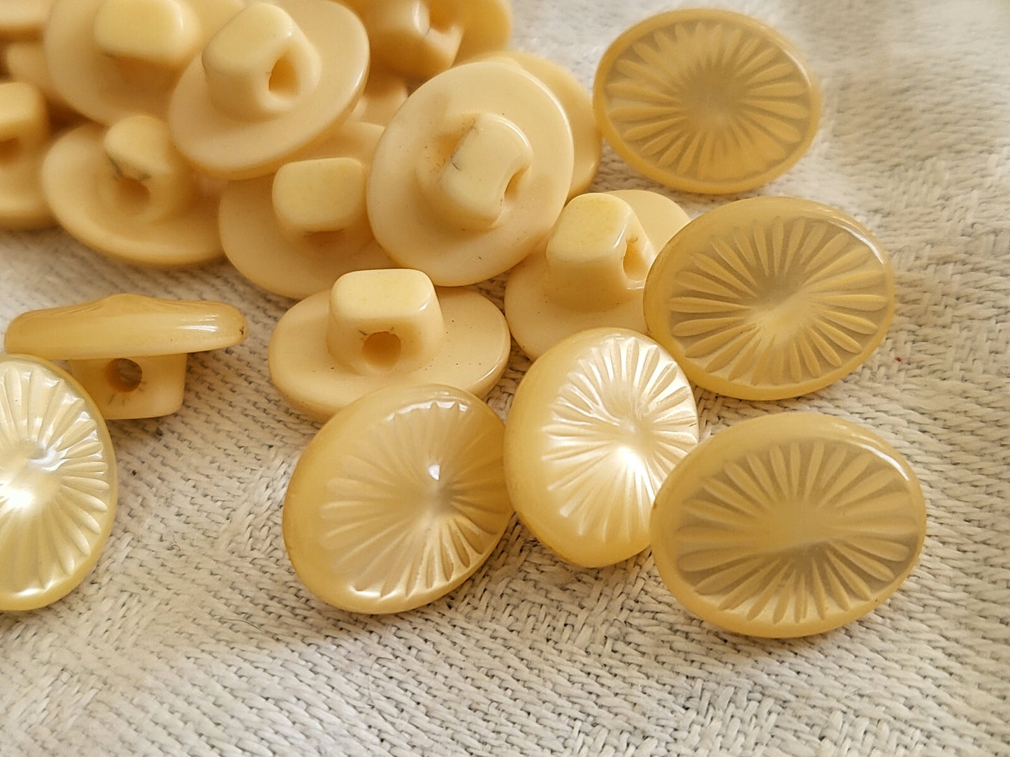 Lot 15 petits boutons vintage beige ovale à pied 1 cm sur 1,2 cm ref 1756