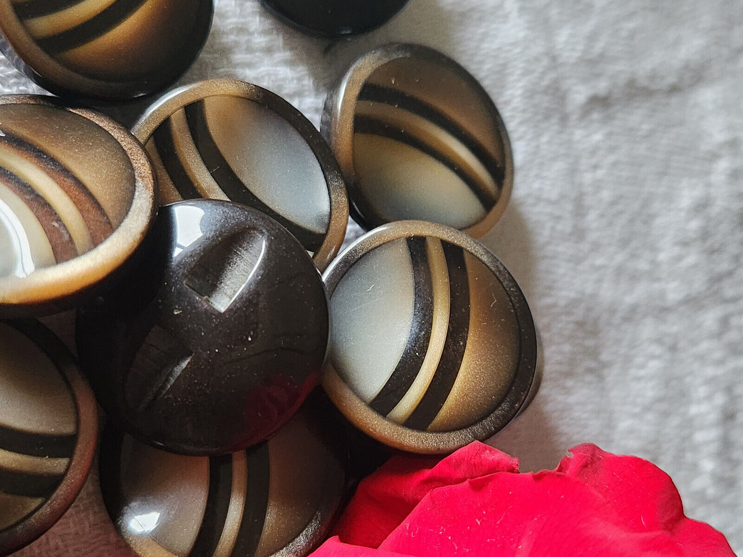 Lot 6 jolis boutons vintage marron camaieu pied 2,2 cm ref 1447