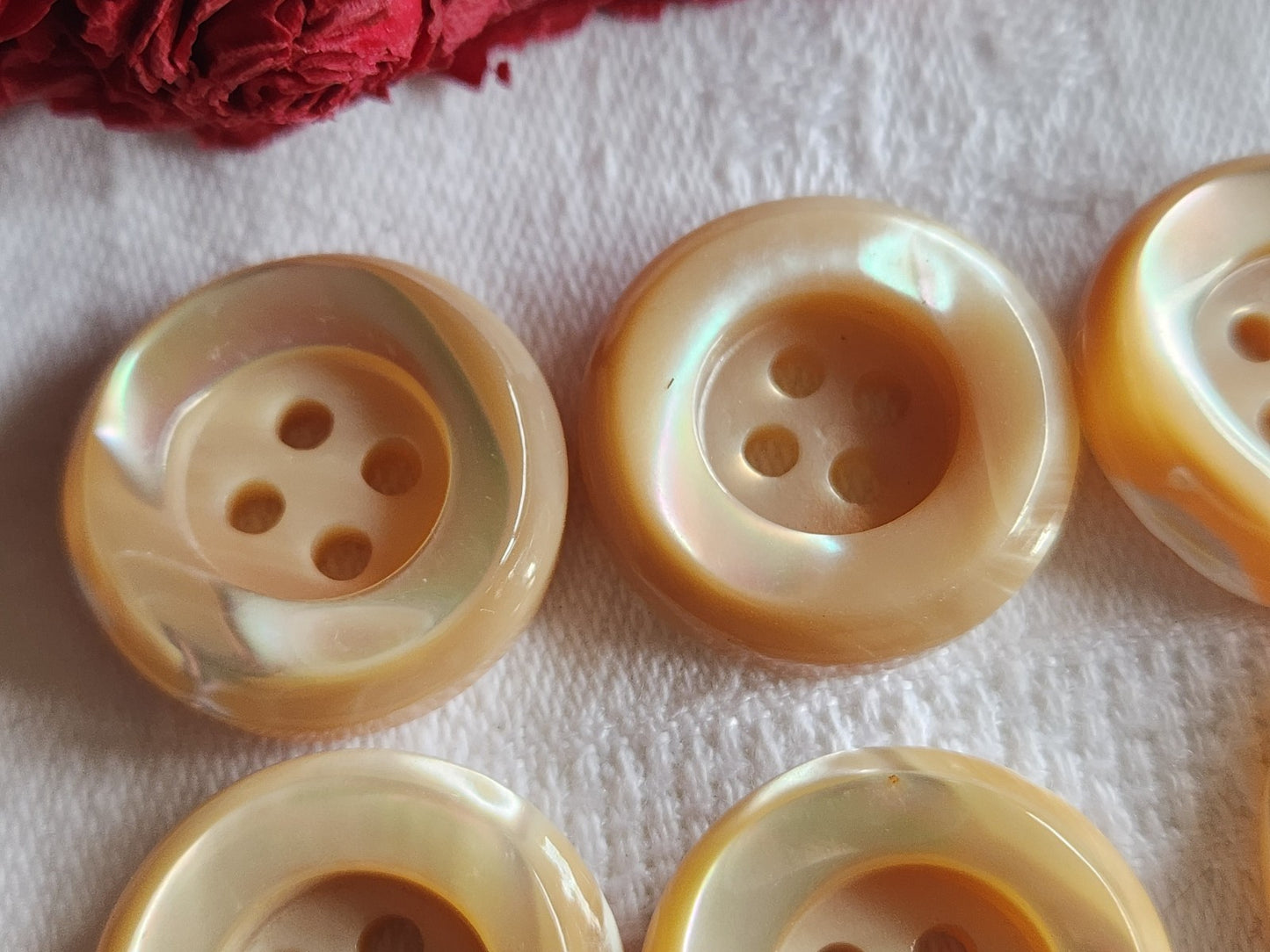 Lot 6 boutons anciens en nacre beige épais bord 2,2 cm lourd ref 6017