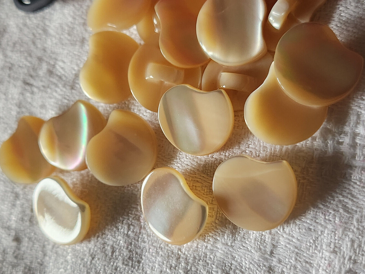 Lot 6 boutons anciens en nacre forme original 1,8 sur 1,5 cm ref 3063