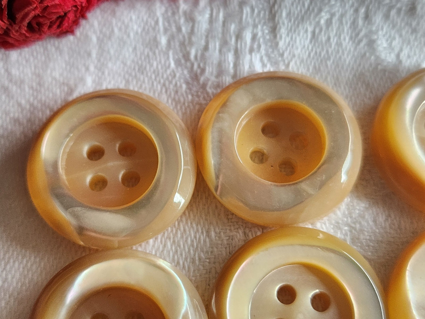 Lot 6 boutons anciens en nacre beige épais bord 2,2 cm lourd ref 5986