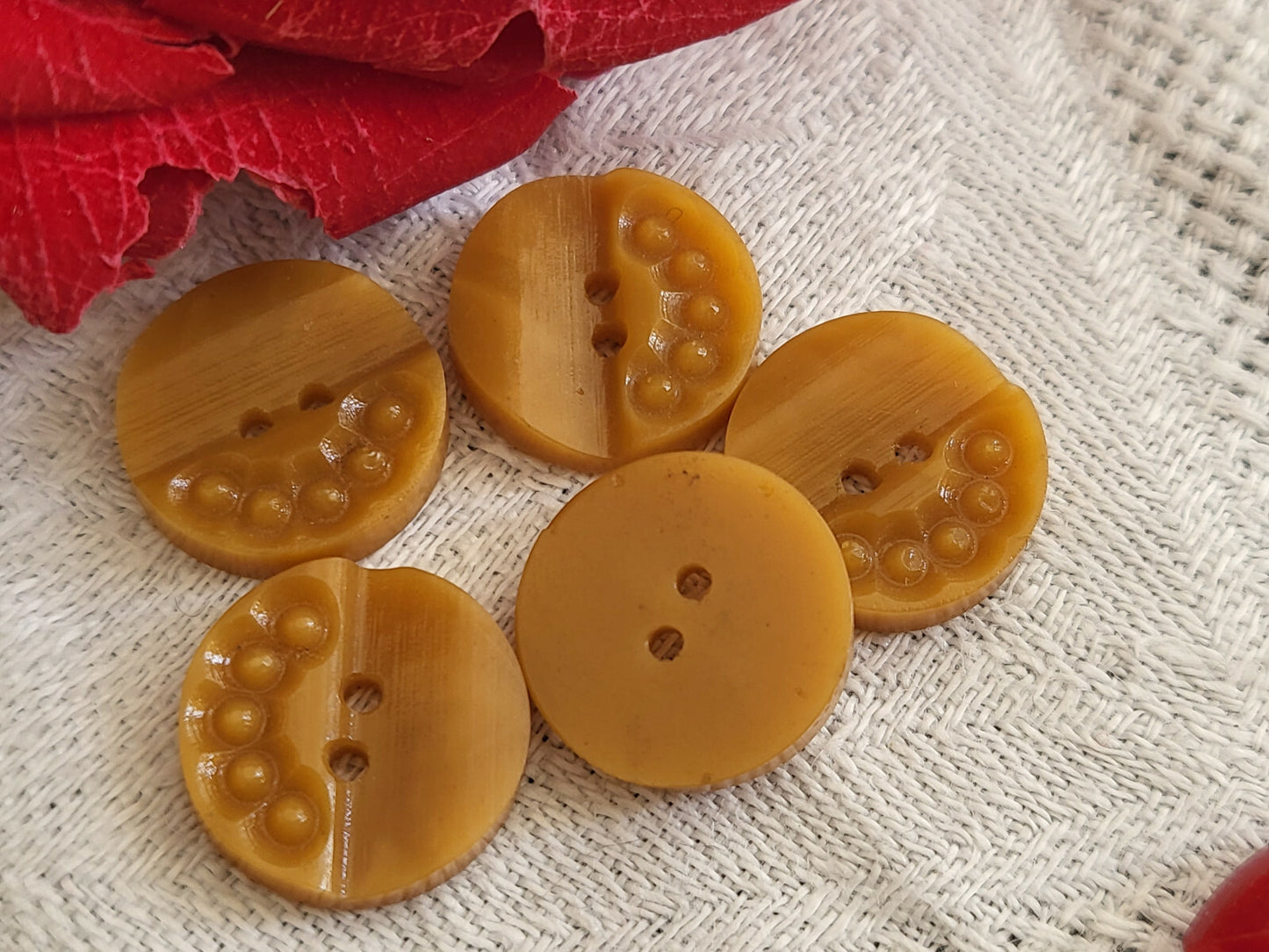 Lot 5 mignons boutons vintage camel diamètre 1,3 cm d10I