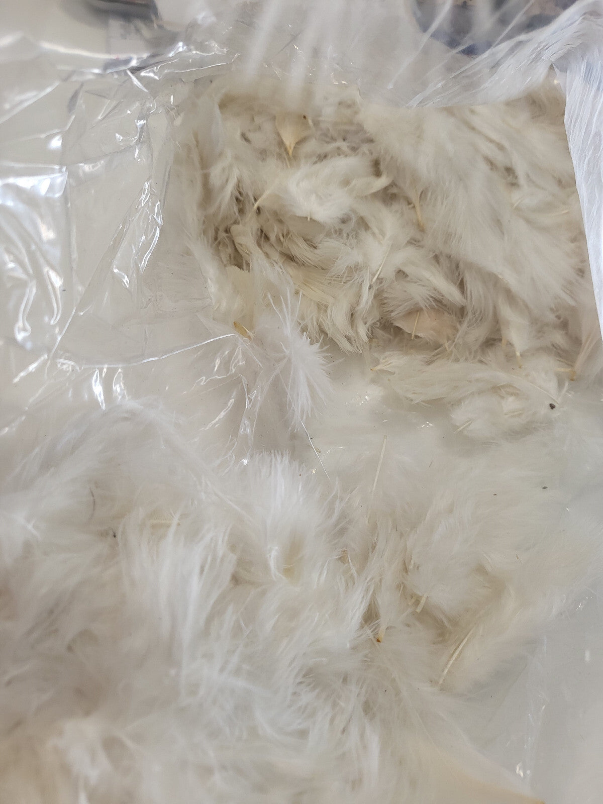 Gros lot de plumes vintage blancs blanches chapeau modiste N°14 B6