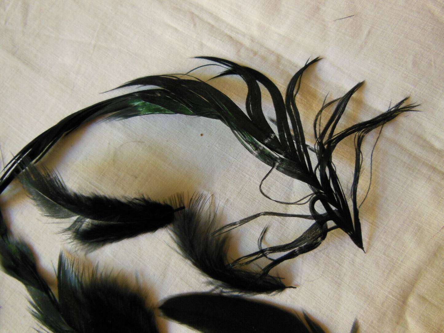 Gros lot de plumes anciennes chapeau modiste noir irisé vert N°3 B7
