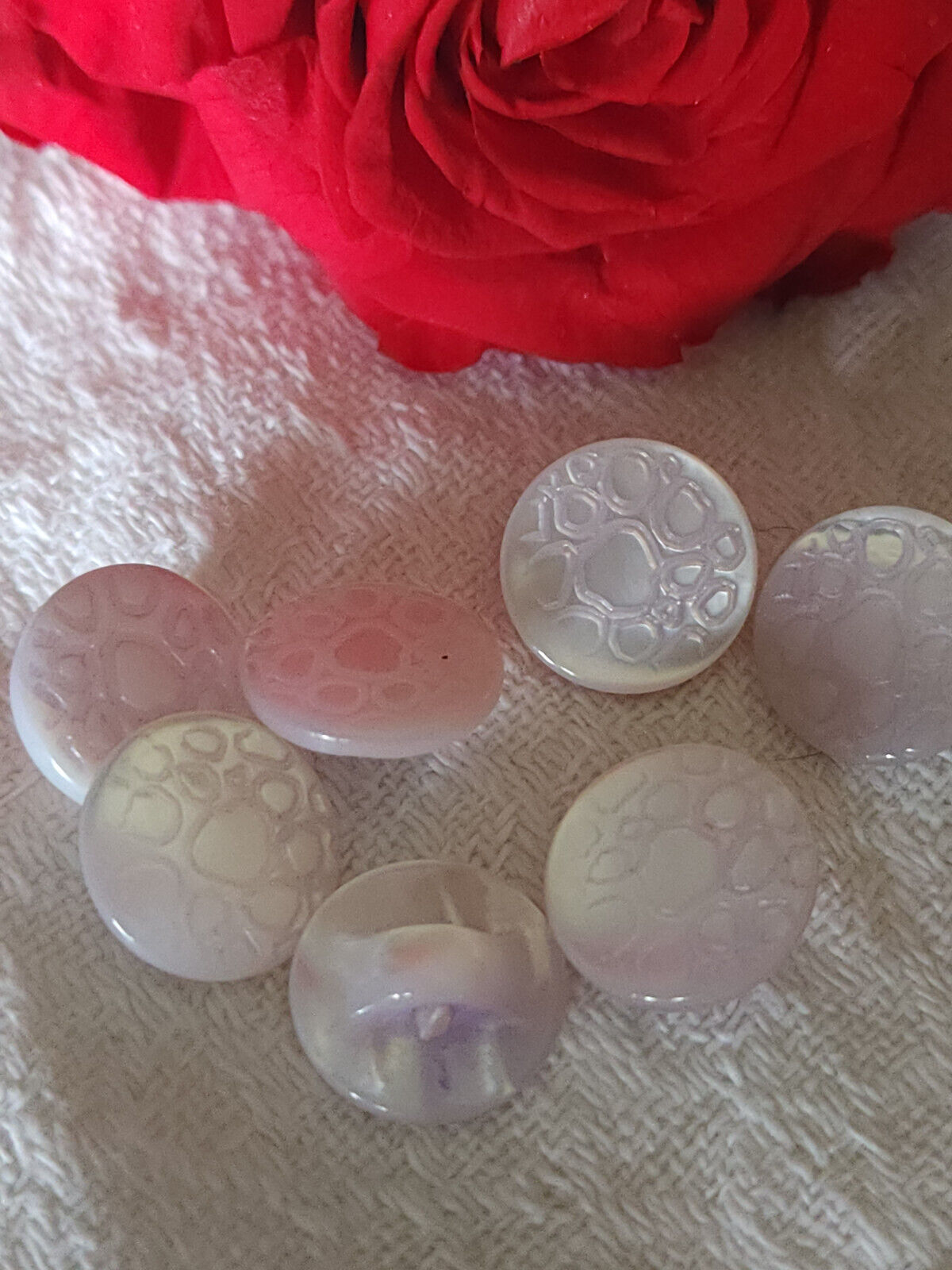 Lot 6 boutons anciens en nacre blanc pointe violette alveole 1,2 cm ref 1342
