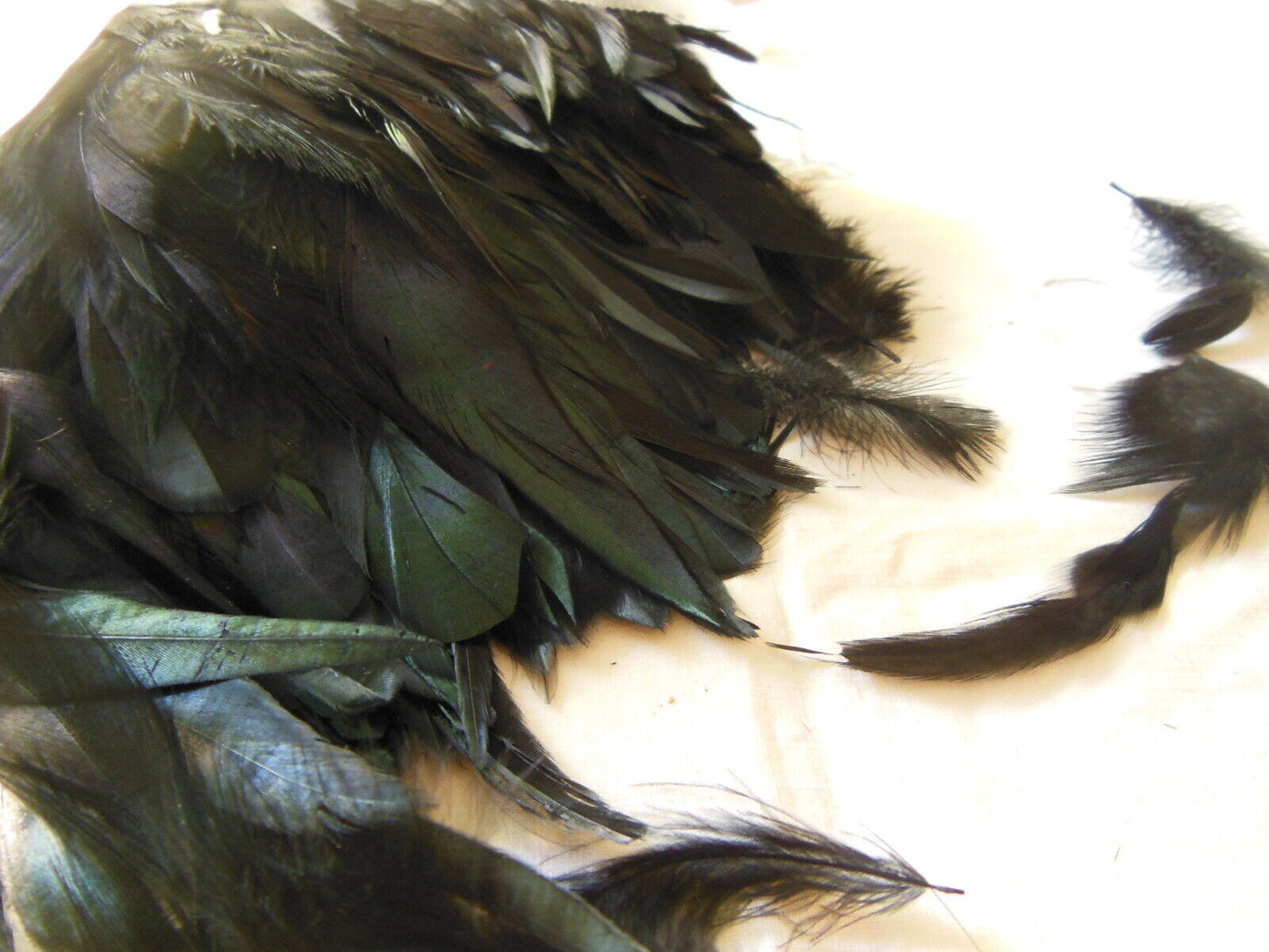 Gros lot de plumes anciennes chapeau modiste noir irisé vert N°3 B7