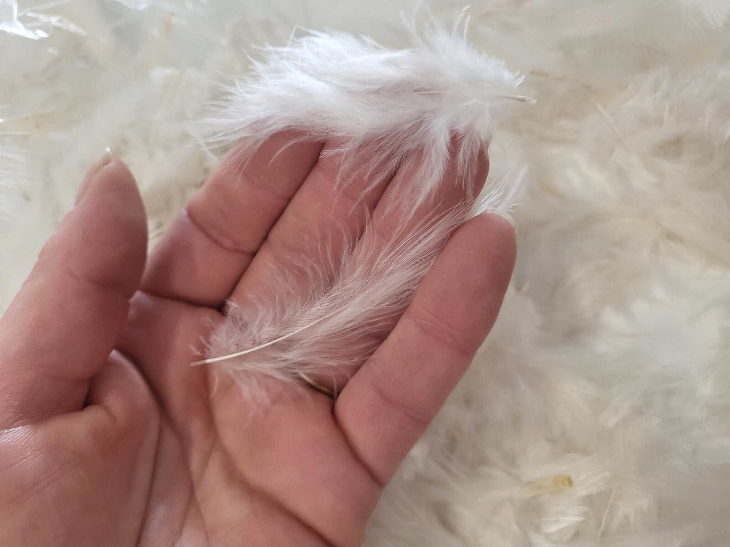 Gros lot de plumes vintage blancs blanches chapeau modiste N°14 B6