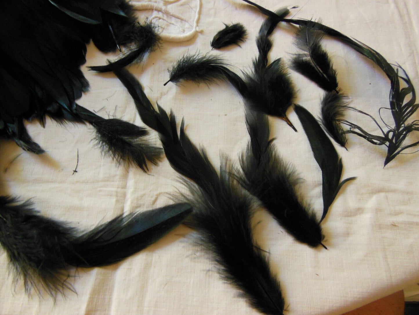 Gros lot de plumes anciennes chapeau modiste noir irisé vert N°3 B7