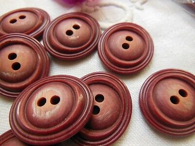 Lot 6 boutons vintage  ovale marron amarante nacré  2,3 cm sur 2,6 cm  ref 5005