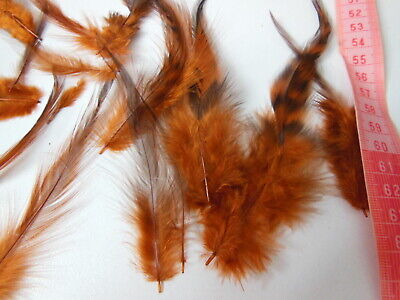 Gros lot de plumes vintage marron roux chapeau modiste   N°10 B7