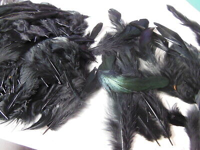 Gros lot de plumes vintage noires irisées vert chapeau modiste   N°9  B7