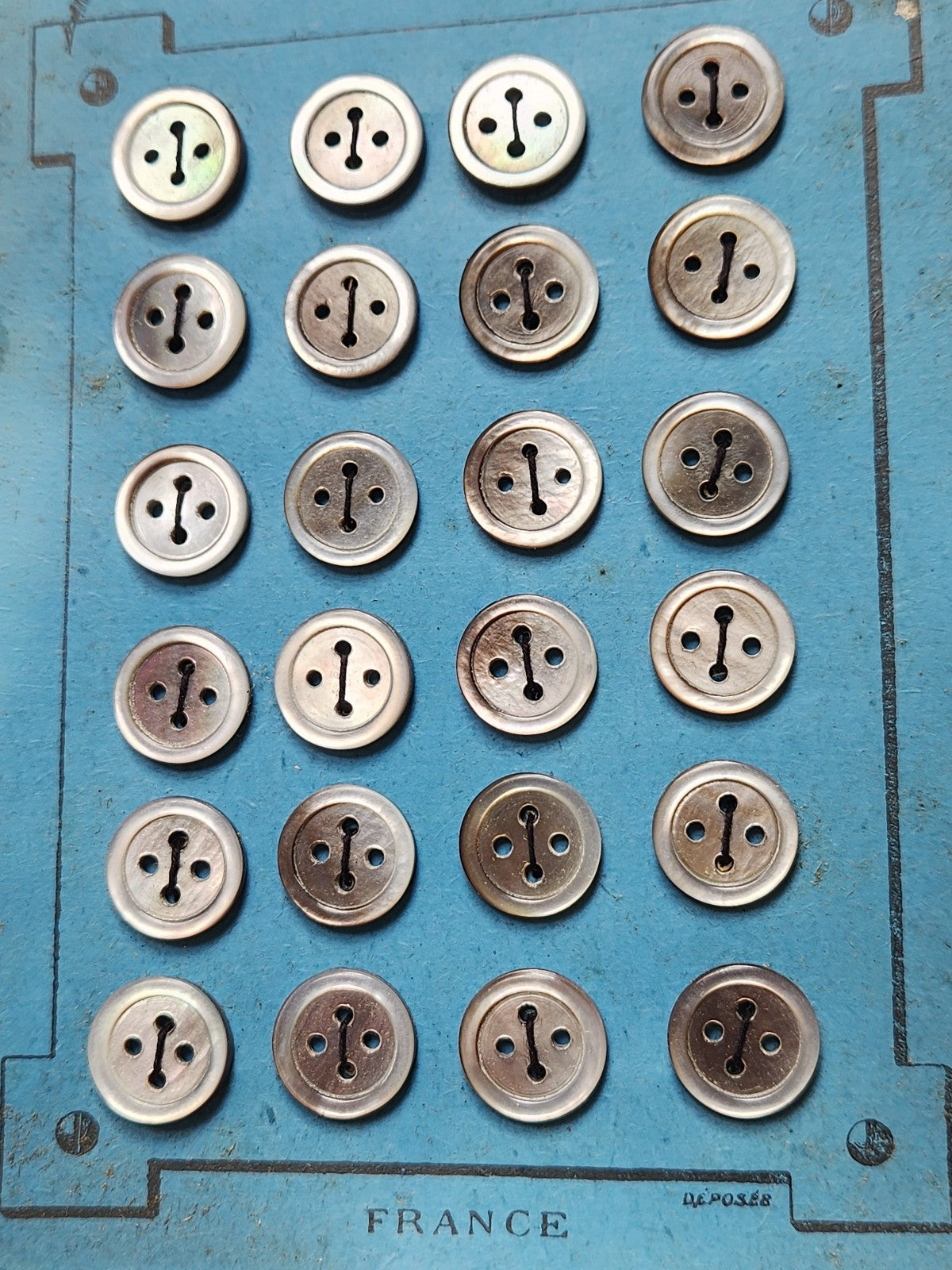 Plaque 24 boutons anciens en nacre gris 1,2 cm année 20/30 N°10