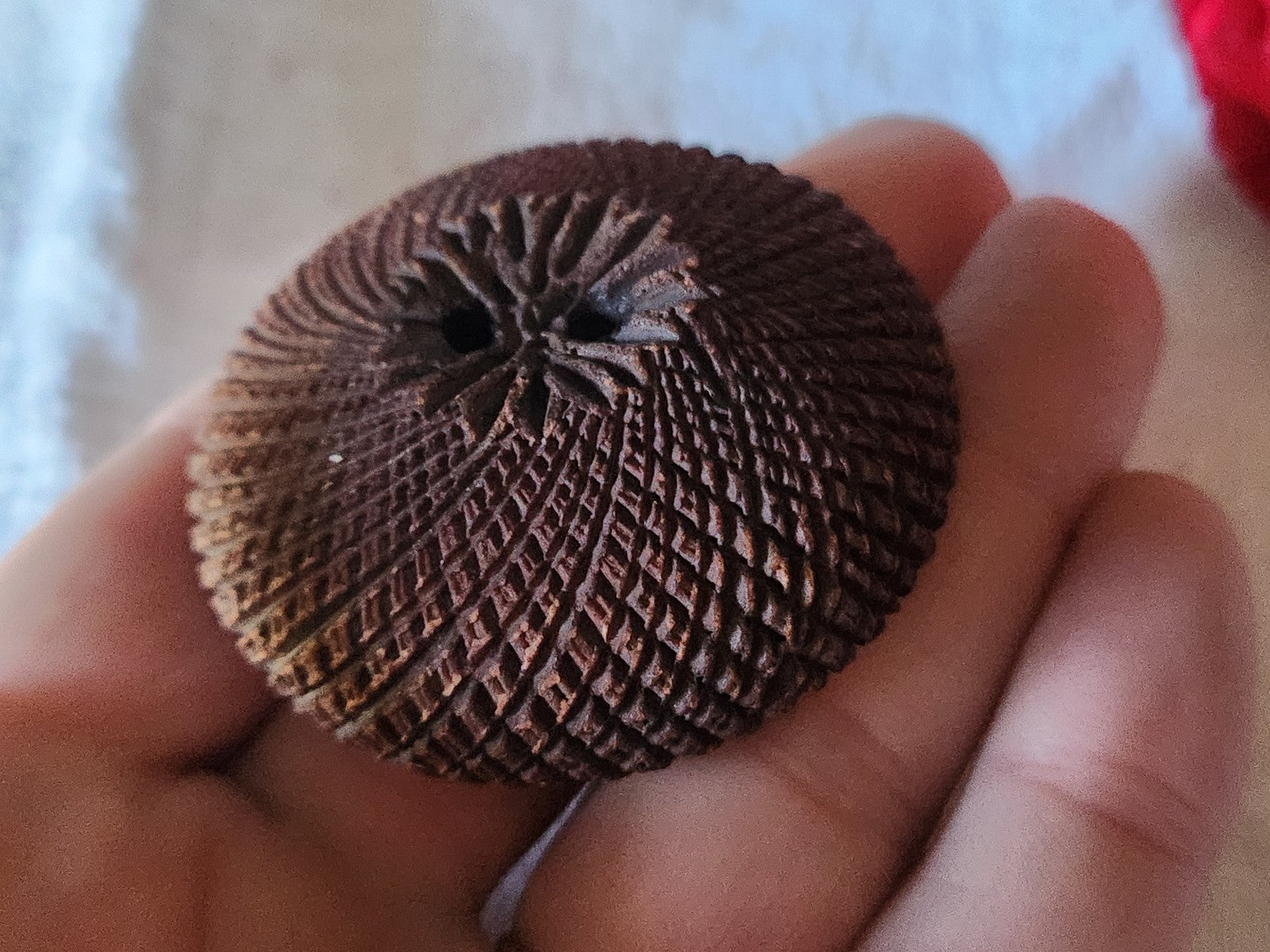 Collection XXL énorme bouton vintage volumineux marron strié 5,1 cm ref 7017