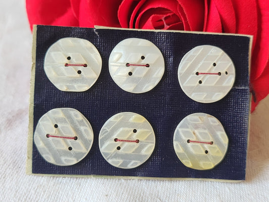 Rare petite plaque boutons anciens en nacre  1,7 cm  lot de 6 n°36