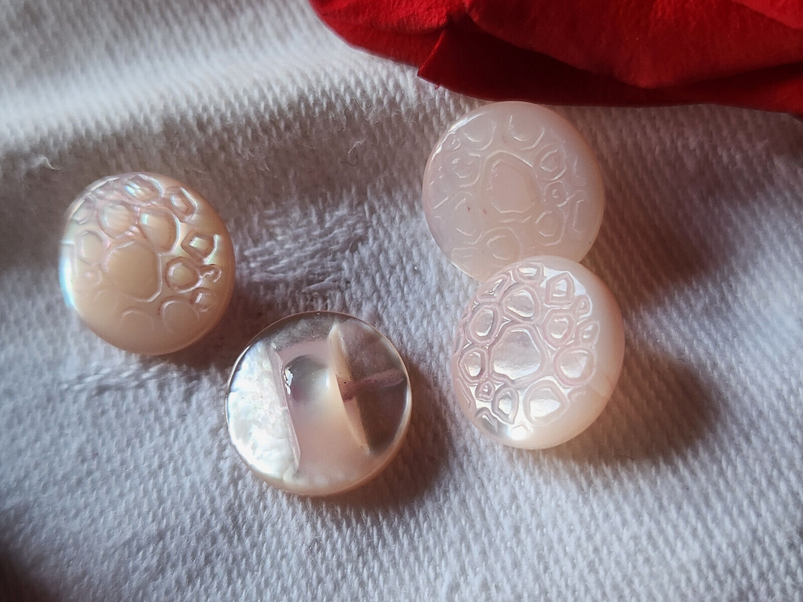 Lot 4 petits boutons anciens en nacre rose alveole pied 1,2 cm G17B