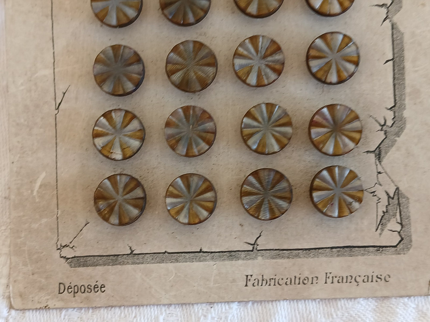 Collection lot 24 boutons anciens pieds  1,1 cm ou 11 mm vers 1900