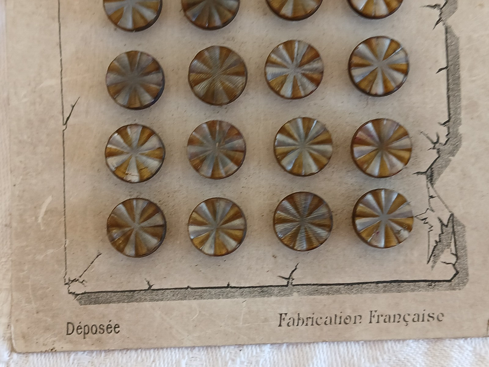 Collection lot 24 boutons anciens pieds  1,1 cm ou 11 mm vers 1900