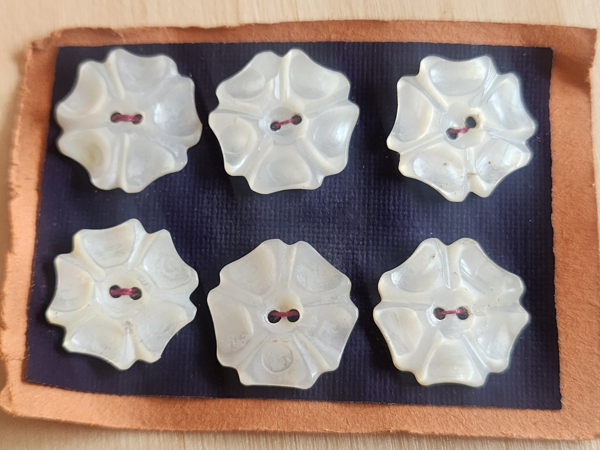 Rare petite plaque boutons anciens en nacre 1,6/  1,7 cm  lot de 6 n°71
