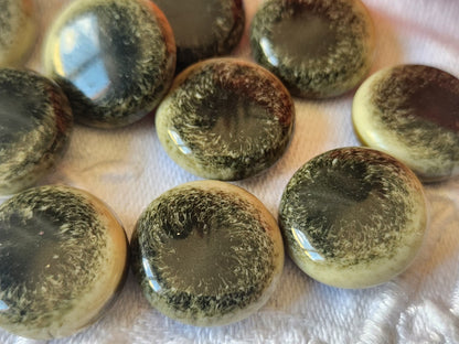 Lot 10  boutons vintage vert/noir creme pied bombé 1,6 cm ref 2488