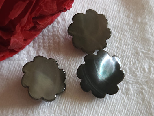 Trio boutons anciens en nacre travaillé gris 1,4 cm pied G18B