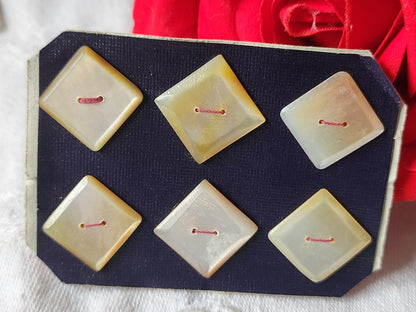 Rare petite plaque boutons anciens en nacre  1,5 cm  lot de 6 n°54