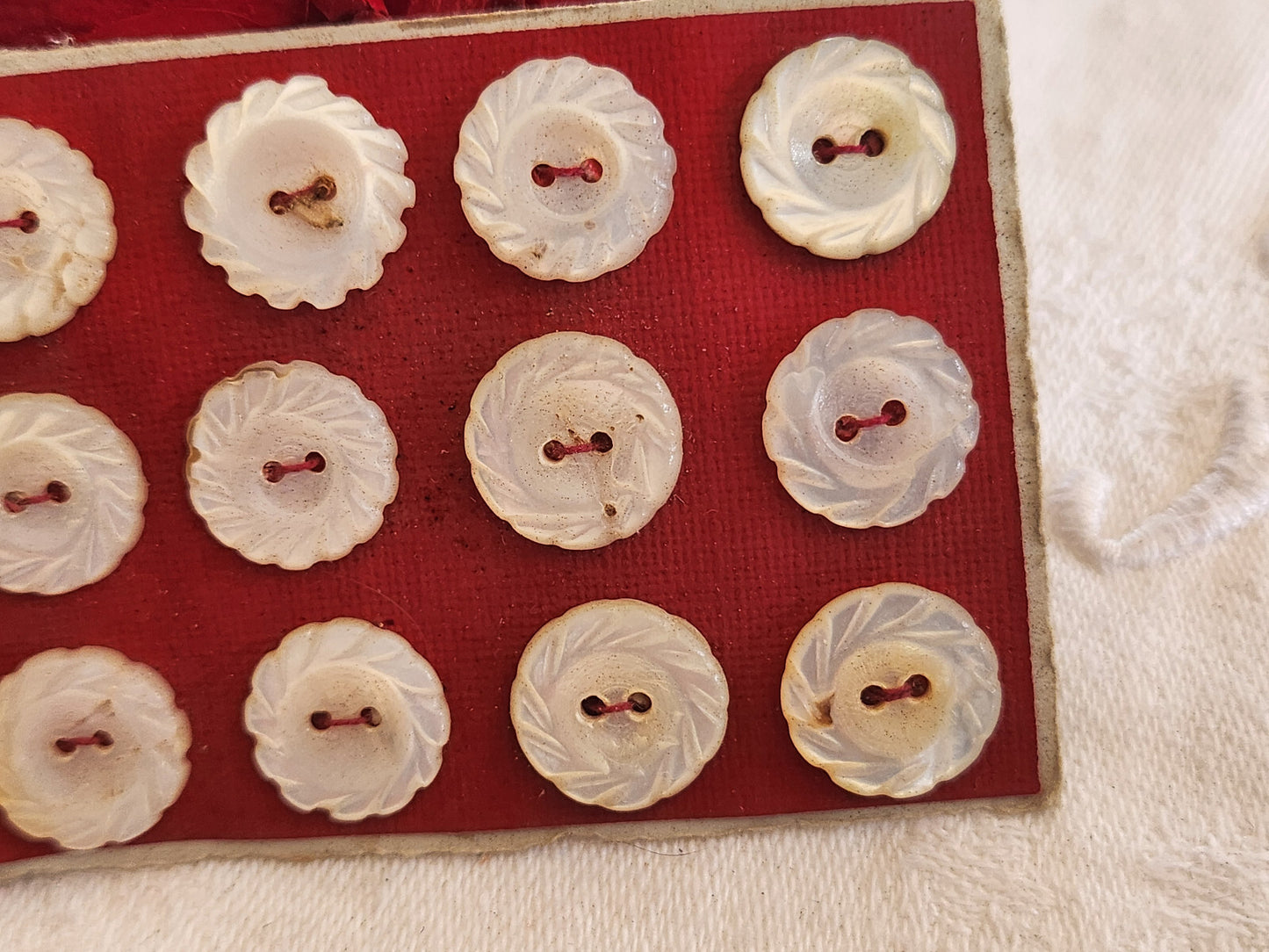 Rare petite plaque boutons anciens en nacre  1,2 cm  lot de 12 n°4L