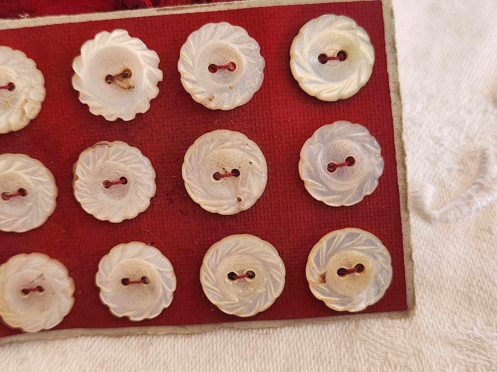 Rare petite plaque boutons anciens en nacre  1,2 cm  lot de 12 n°4L