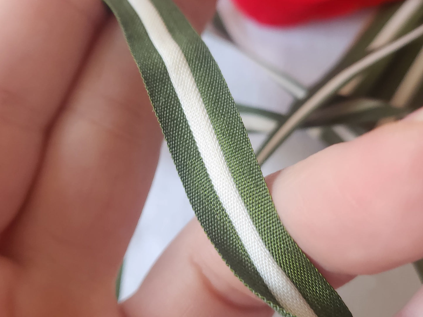Passe poil vintage vert creme 4 métres sur 1 cm  A2