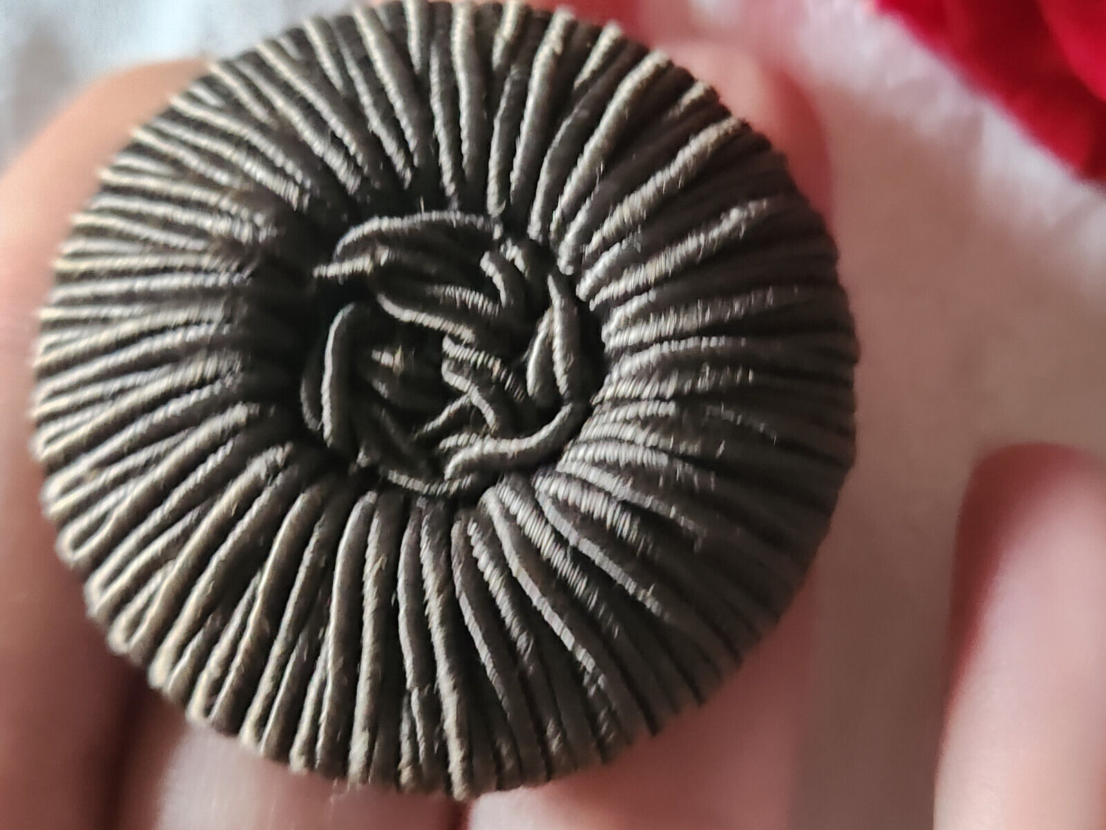 Haute couture énorme bouton ancien gris passementerie 4,4 cm ref 3114