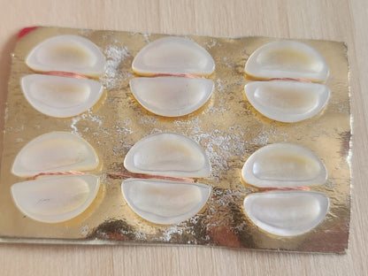 Rare petite plaque boutons anciens en nacre  1,7 cm  lot de 6 n°69