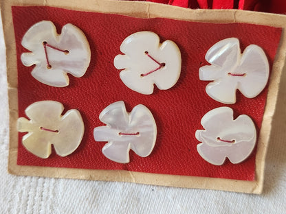 Rare petite plaque boutons anciens en nacre  1,7 cm  lot de 6 n°47