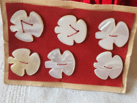 Rare petite plaque boutons anciens en nacre  1,7 cm  lot de 6 n°47