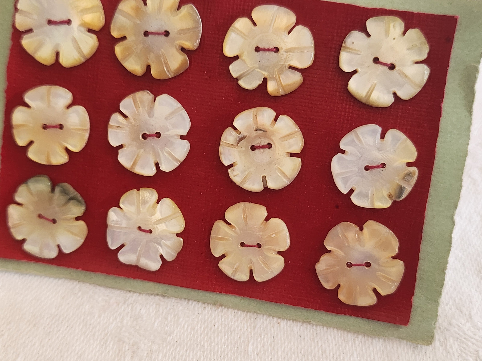 Rare petite plaque boutons anciens en nacre  1,4 cm  lot de 12 n°3K