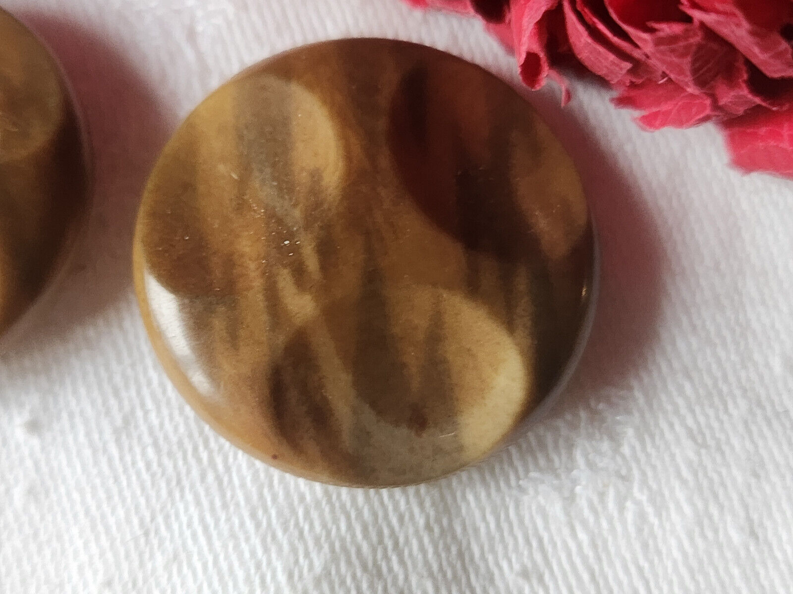 Duo gros  boutons anciens en corozo à pied marron 3,1 cm D19K