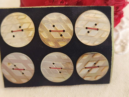 Rare petite plaque boutons anciens en nacre  1,7 cm  lot de 6 n°2B