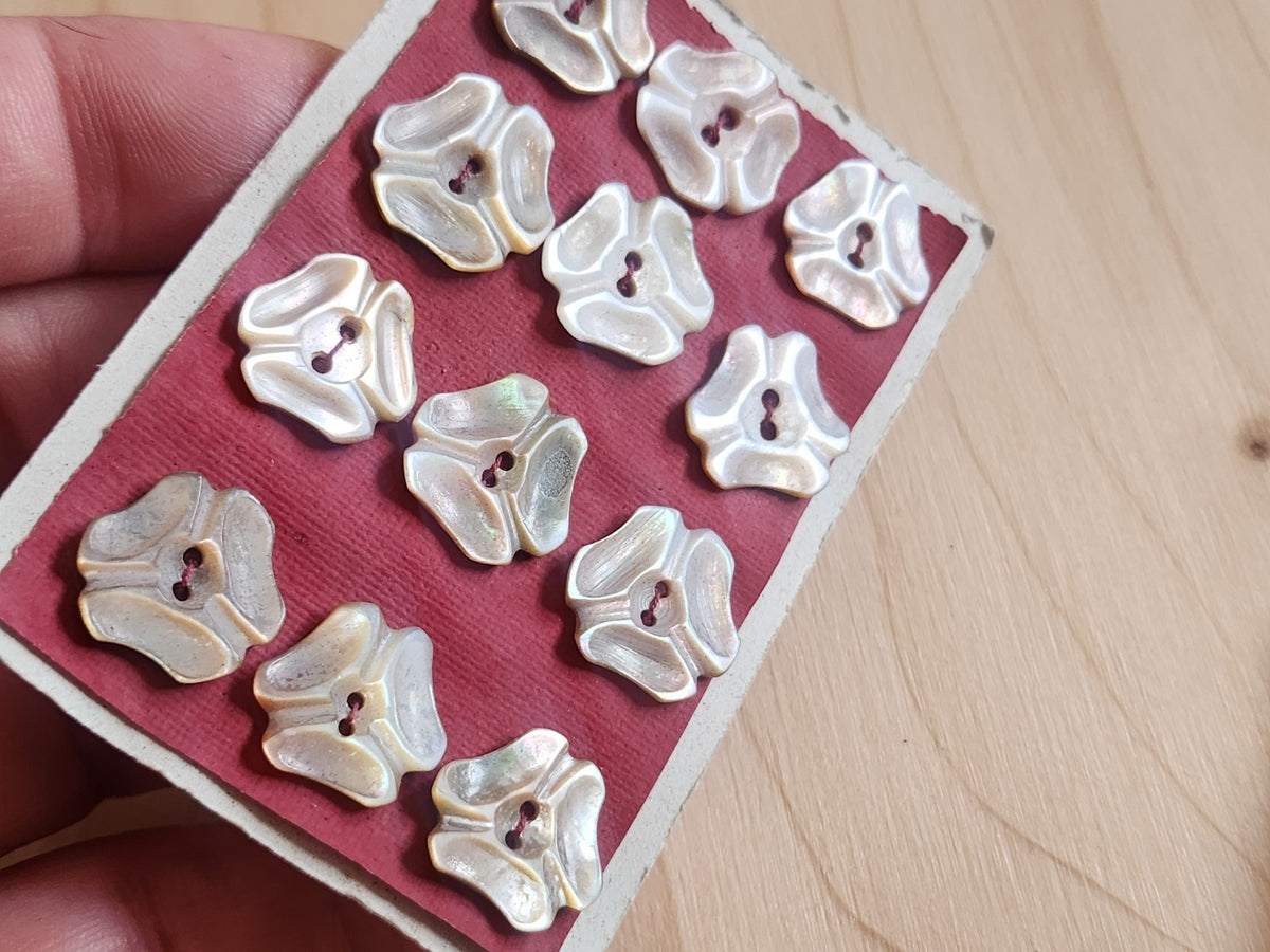 Rare petite plaque boutons anciens en nacre  1,3 /1,4 cm  lot de 12 n°76