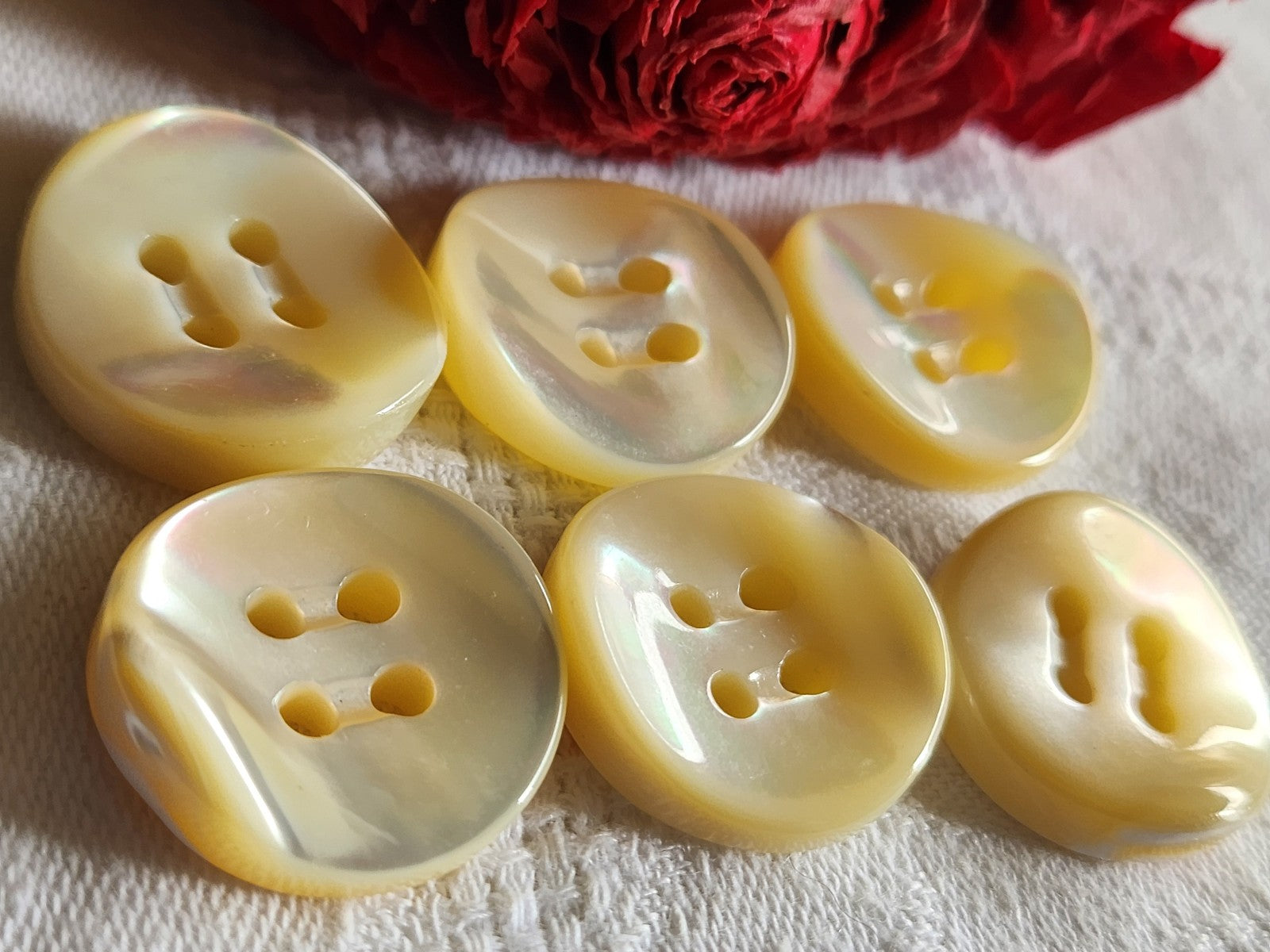 Lot  6 boutons anciens en nacre blanc épais bord 2,2 cm lourd ref  5967