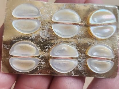 Rare petite plaque boutons anciens en nacre  1,7 cm  lot de 6 n°69