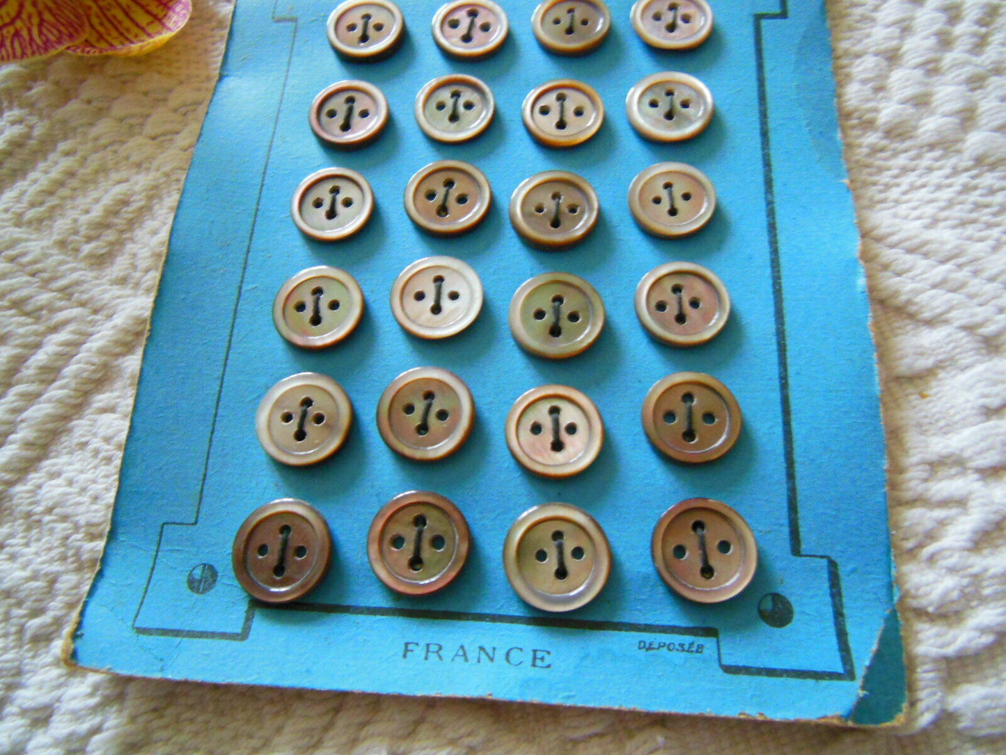 Plaque 24 boutons anciens en nacre gris 1,2 cm année 20/30 N°7