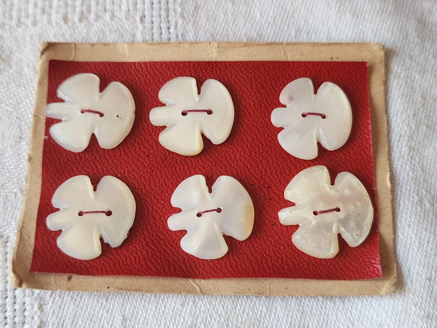 Rare petite plaque boutons anciens en nacre  1,7 cm  lot de 6 n°46