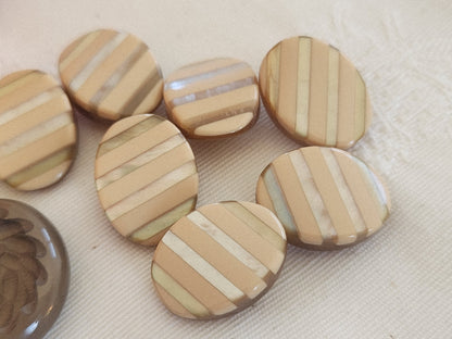 Lot 12 boutons vintage marron  2 séries 2,1  et 1,2 sur 1,7 cm ref 6297