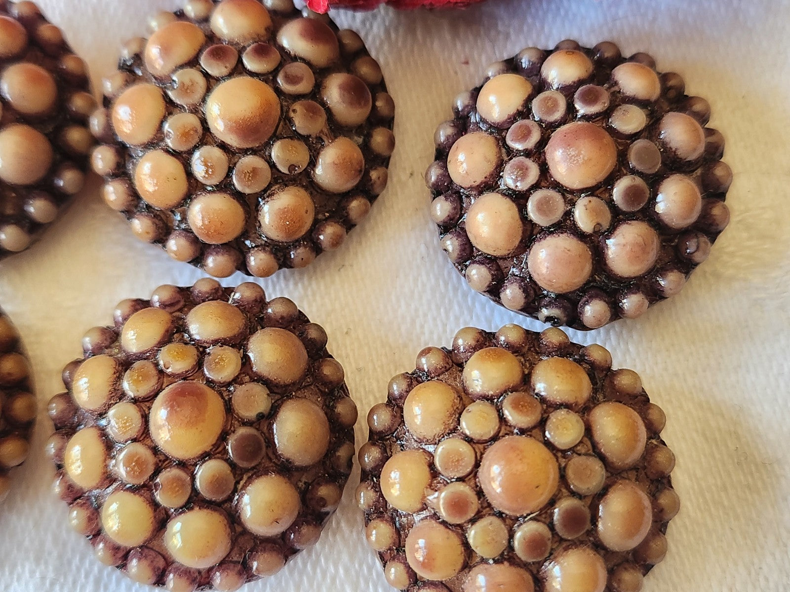 Lot 6 boutons vntage en résine marron  2,1 cm pied ref 4844