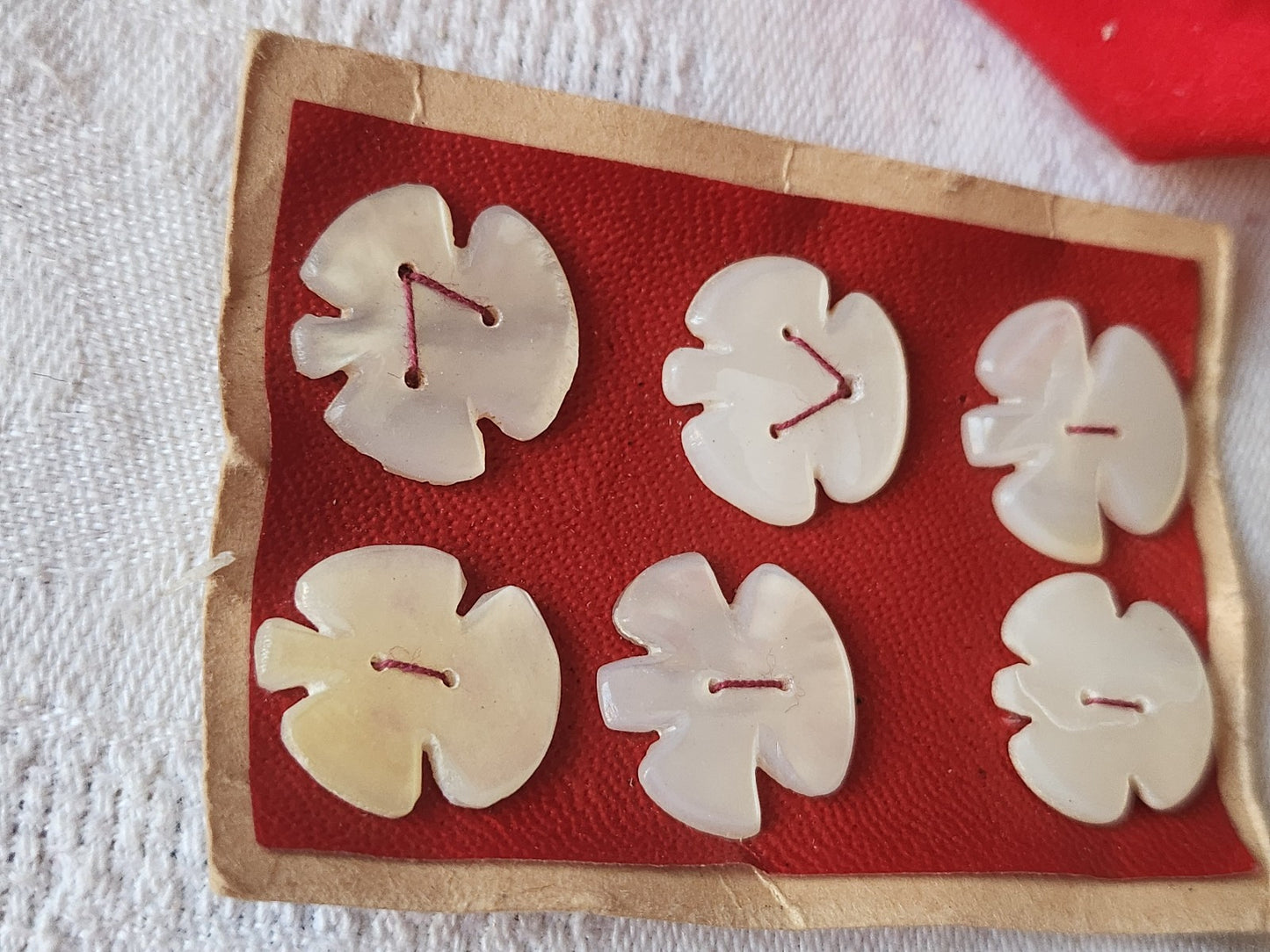 Rare petite plaque boutons anciens en nacre  1,7 cm  lot de 6 n°47